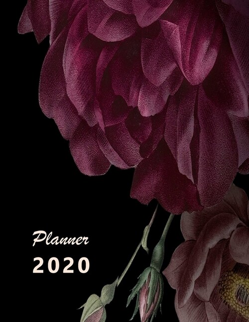 Planner 2020: Monthly and Weekly Planner. Week on 1 page. Start your week with weekly Focus, Tasks, To-Dos. Monday start week. 11.0 (Paperback)