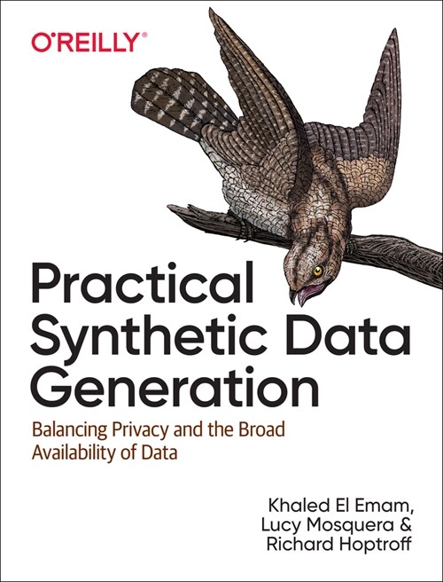 Practical Synthetic Data Generation: Balancing Privacy and the Broad Availability of Data (Paperback)