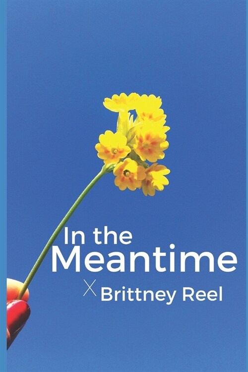 In the Meantime (Paperback)