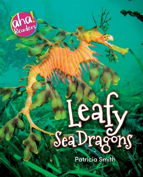 Leafy Sea Dragons (Paperback)