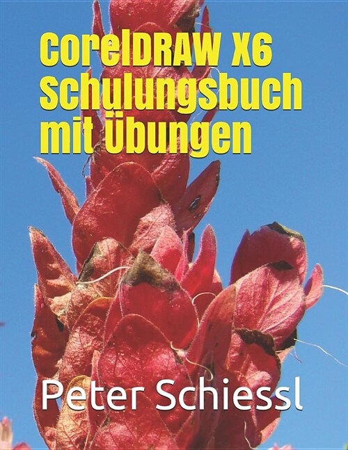 CorelDRAW X6 Schulungsbuch mit ?ungen (Paperback)