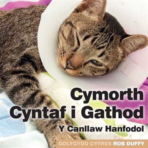 Cymorth Cyntaf i Gathod: Y Canllaw Hanfodol (Paperback)