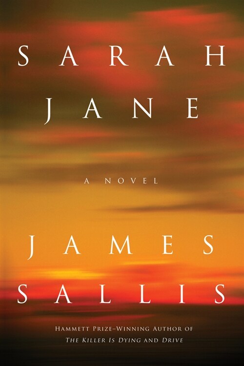 Sarah Jane (Paperback)