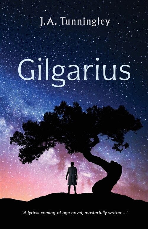 Gilgarius (Paperback)