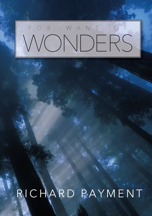 For Want of Wonders (Paperback)