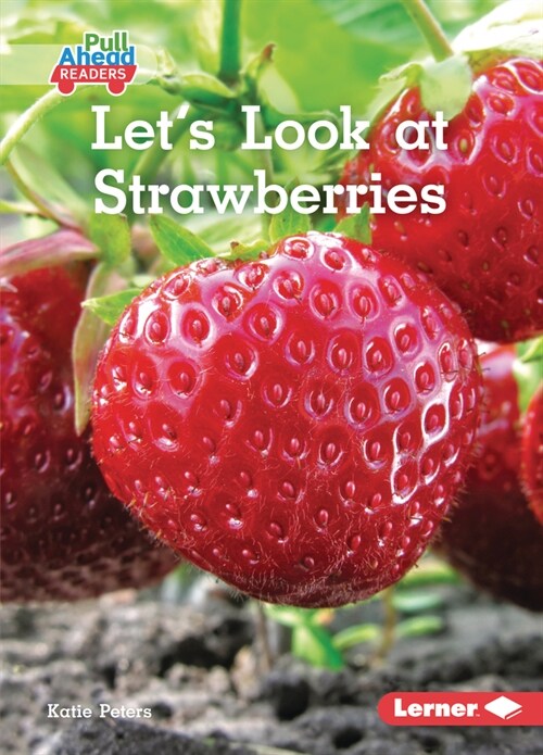 Lets Look at Strawberries (Paperback)