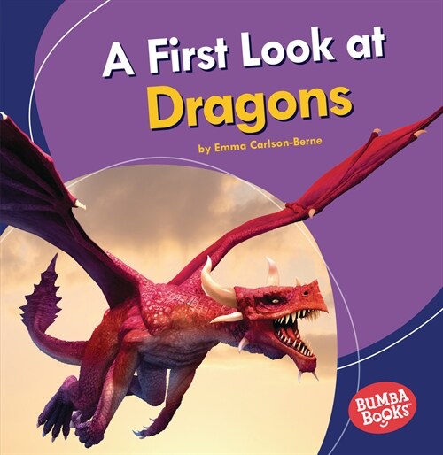 A First Look at Dragons (Paperback)