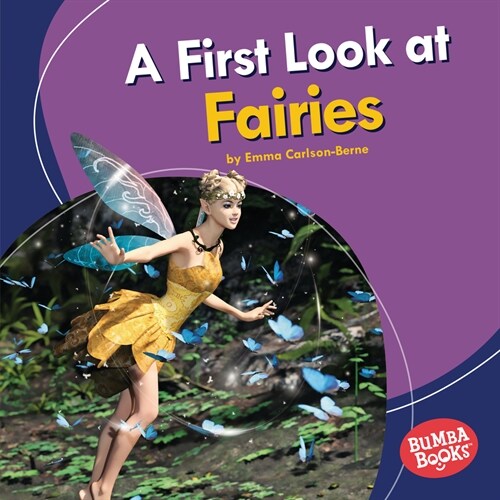 A First Look at Fairies (Paperback)