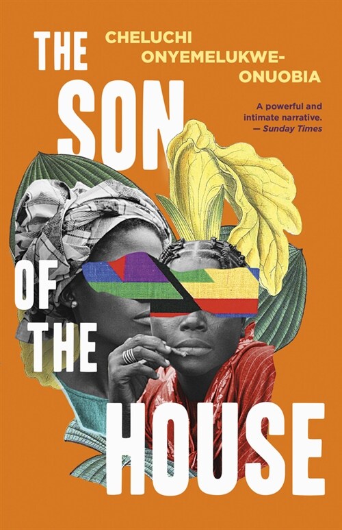 The Son of the House (Paperback)