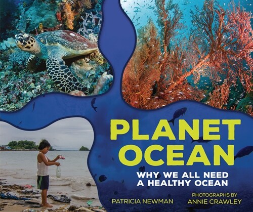 Planet Ocean: Why We All Need a Healthy Ocean (Library Binding)