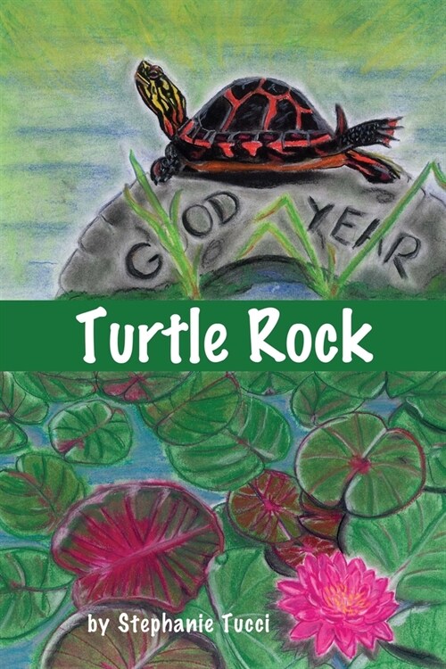 Turtle Rock (Paperback)