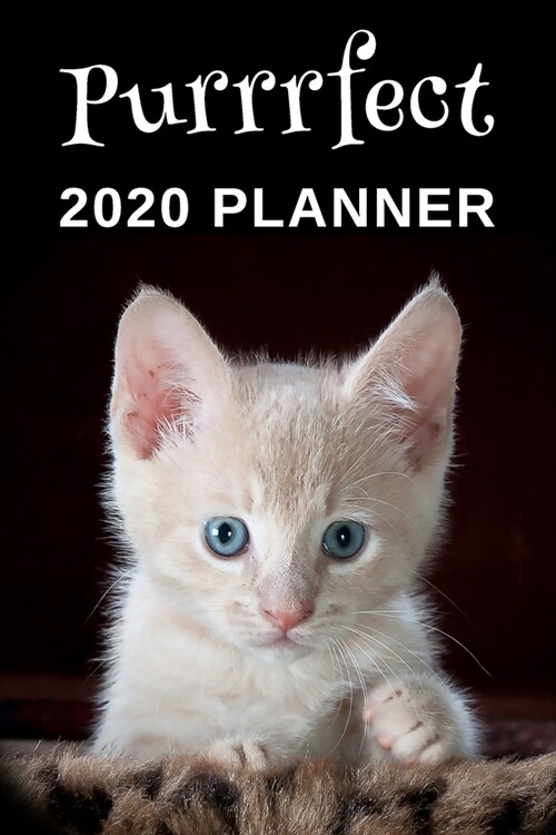 Purrrfect: 2020 Planner For Cat Lovers (Paperback)