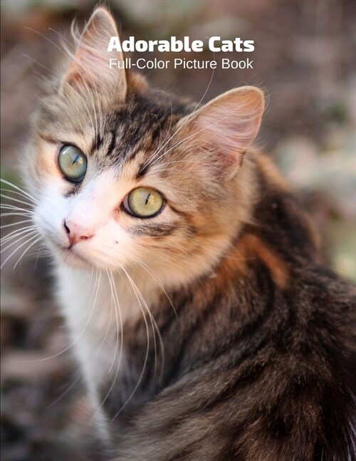 Adorable Cats Full-Color Picture Book: Cats Picture Book for Children, Seniors and Alzheimers Patients- Aging Parents- Pets Feline Kittens Animals (Paperback)