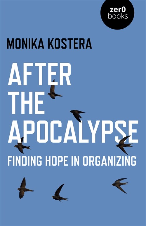 After The Apocalypse : Finding hope in organizing (Paperback)