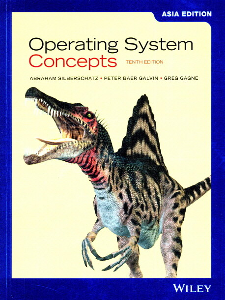 Operating System Concepts (Paperback, 10th)
