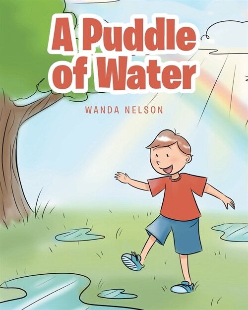 A Puddle of Water (Paperback)