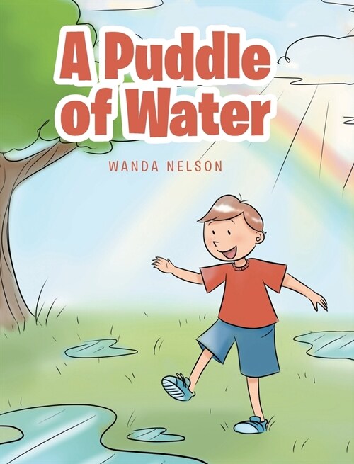 A Puddle of Water (Hardcover)
