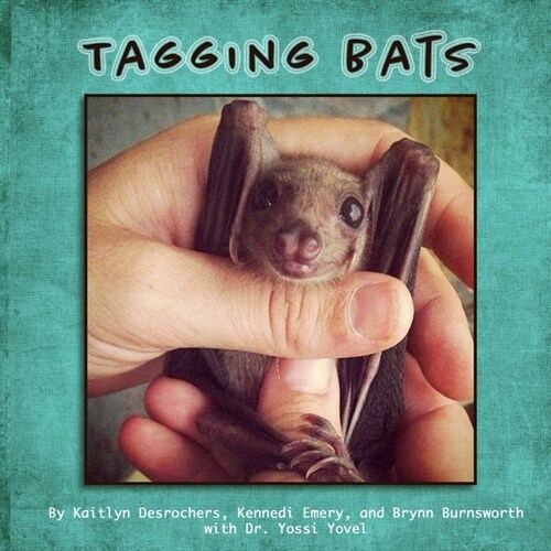 Tagging Bats (Paperback)