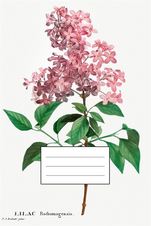 Designer Notizheft: liniert mit Motiv Flieder (Lilac rothomagensis) von Pierre-Joseph Redout? Notebook, Schreibheft etwa A5 (15,3 x 22, (Paperback)