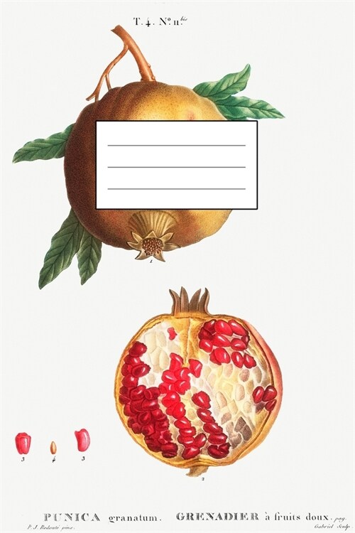 Designer Notizheft: liniert mit Motiv Granatapfel Pomegranate  von Pierre-Joseph Redout? Notebook, Schreibheft etwa A5 (15,3 x 22,9 cm) (Paperback)