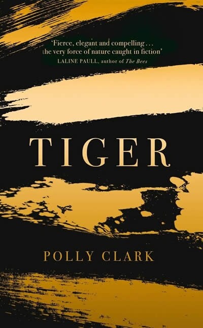 Tiger : shortlisted for the Saltire Fiction Book of the Year 2019 (Paperback)