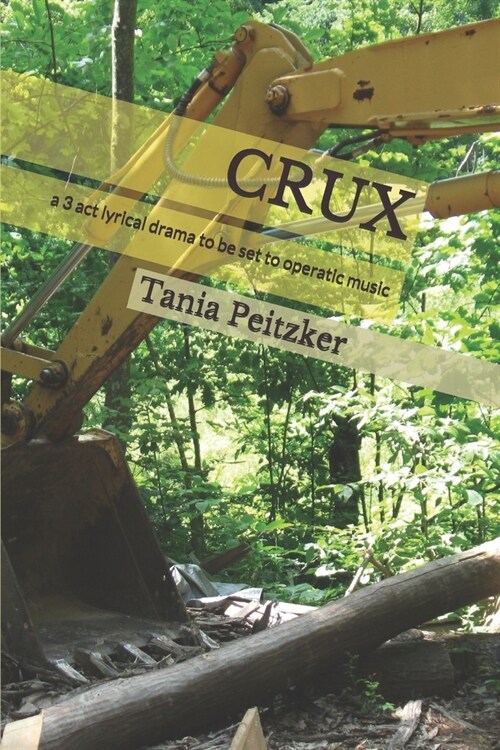 Crux: a 3 act lyrical drama to be set to operatic music (Paperback)