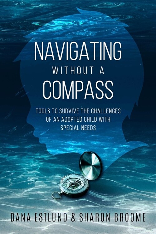 Navigating Without a Compass: Tools to Survive the Challenges of an Adopted Child with Special Needs (Paperback)