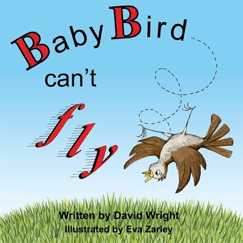 Baby Bird Cant Fly (Paperback)