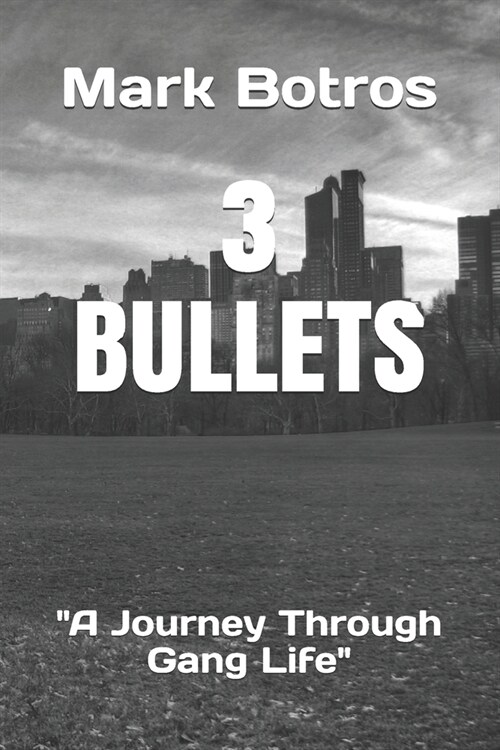 3 Bullets: The Comedic Adventure Through The Gang Life (Paperback)
