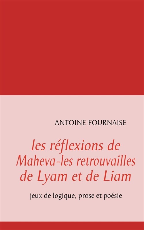 les r?lexions de Maheva-les retrouvailles de Lyam et de Liam: jeux de logique, prose et po?ie (Paperback)