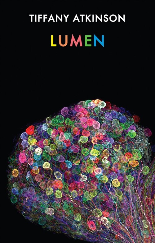 Lumen (Paperback)