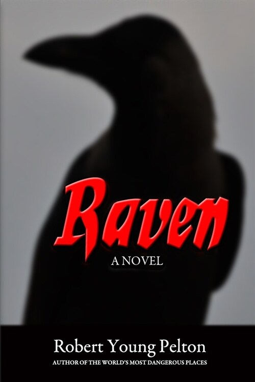 Raven: One Boy Against the Wilderness (Paperback)