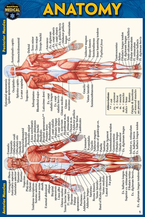 Anatomy Pocket-Sized Reference Guide (4x6 Inches) (Other, 2, Second Edition)
