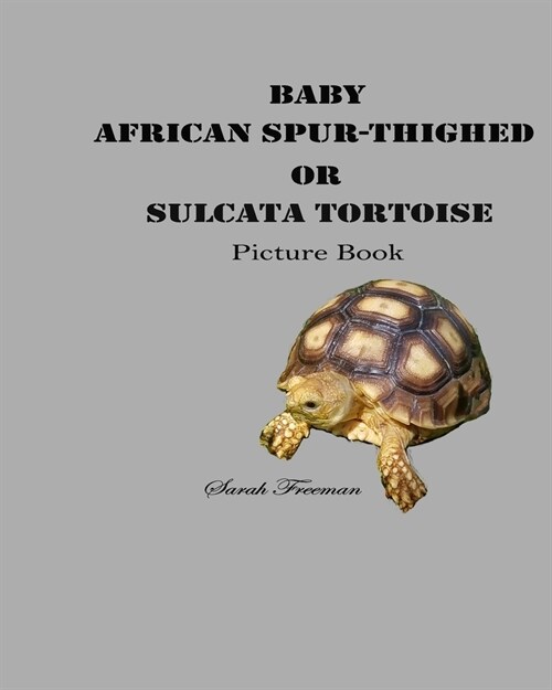 Baby African Spur-Thighed or Sulcata Tortoise Picture Book (Paperback)