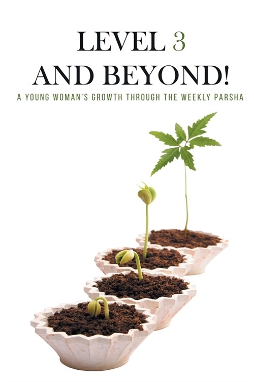 Level Three and Beyond: A Young Womans Growth Through the Weekly Parsha (Paperback)