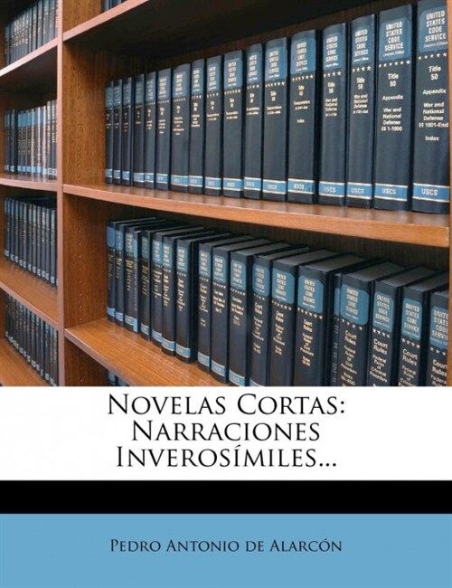 Novelas Cortas: Narraciones Inveros?iles... (Paperback)