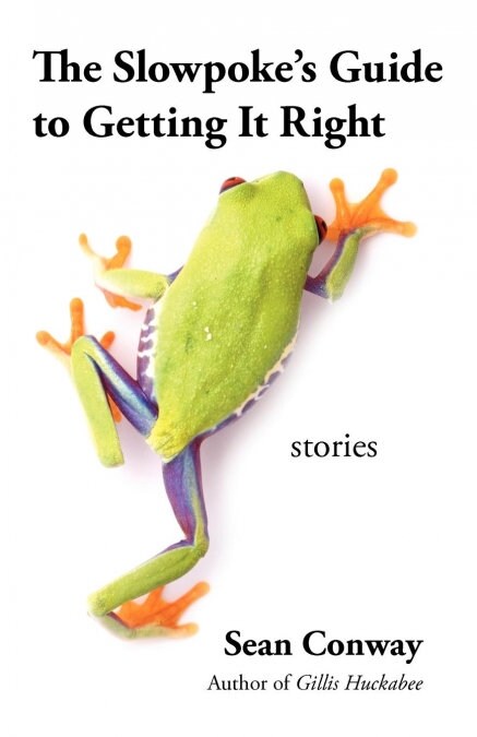 The Slowpokes Guide to Getting It Right: Stories (Paperback)