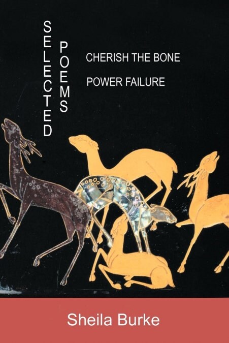 Selected Poems: Power Failure: Cherish the Bone (Paperback)