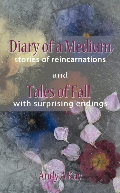 Diary of a Medium- Stories of Reincarnations (Paperback)