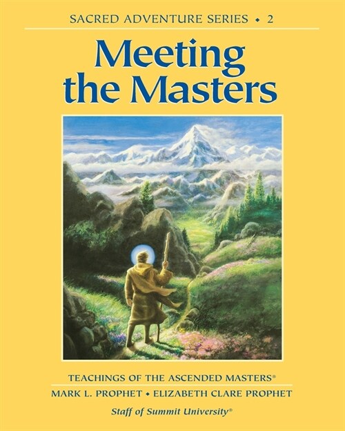 Meeting the Masters (Paperback)