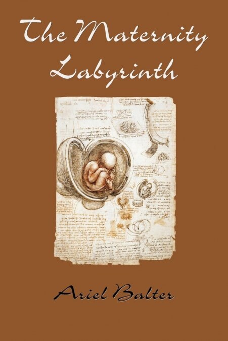 The Maternity Labyrinth (Paperback)