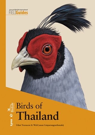 BIRDS OF THAILAND (Paperback, 1 edition)