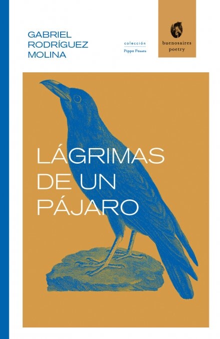 LAGRIMAS DE UN PAJARO (Book)