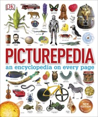 Picturepedia: an encyclopedia on every page
