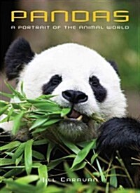 Pandas: A Portrait of the Animal World (Hardcover)