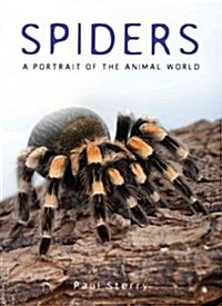 Spiders: A Portrait of the Animal World (Hardcover)