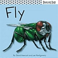 Fly (Hardcover, LTF, Pop-Up)