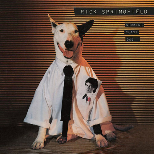[수입] Rick Springfield - Working Class Dog [180g 블랙라인 화이트 LP]