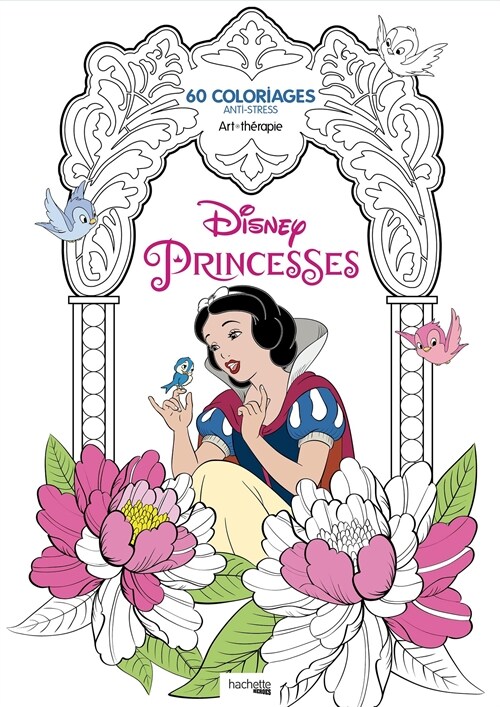 Disney Princesses (Paperback)