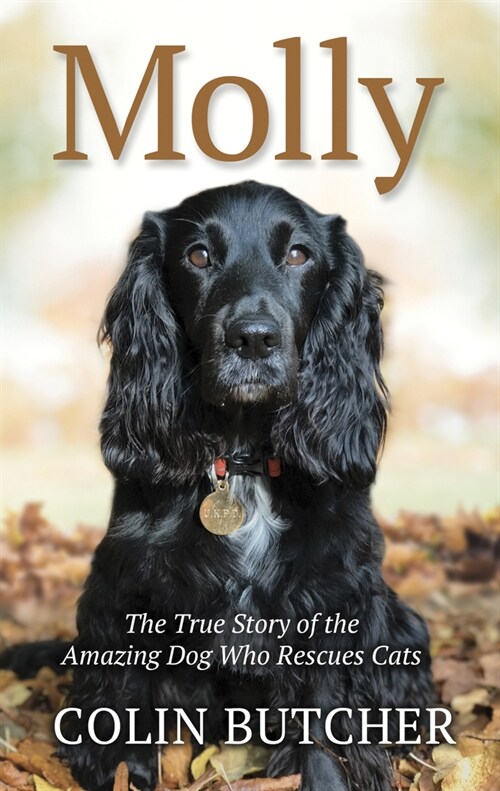 Molly: The True Story of the Amazing Dog Who Rescues Cats (Library Binding)